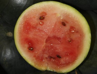 Wassermelone Sugar Baby